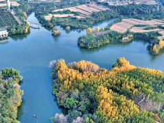  落实部分监管义务